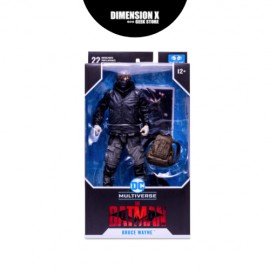 DC Multiverse Bruce Wayne